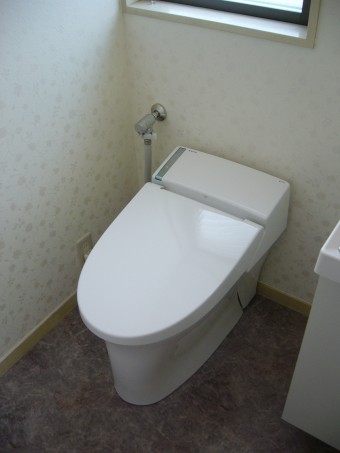 サティスとピアラに交換 サティスとピアラに交換